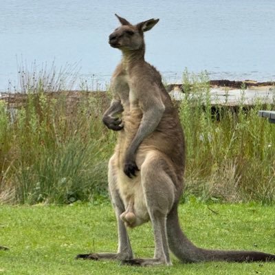 Simick2703's profile picture. it is what it is