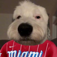 Romeo Rodriguez (@callmeromeo__) 's Twitter Profile Photo Romeo Rodriguez (@callmeromeo__) 's Twitter Profile Photo