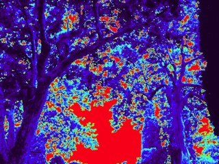 goossenspeter's profile picture. project manager - stedenbouwkundige