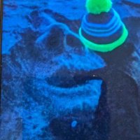 Hari P. Krishnan (@haripkrishnan2) 's Twitter Profile