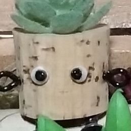 みゃんさんのプロフィール画像