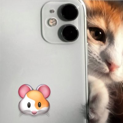 @dreamhappycat