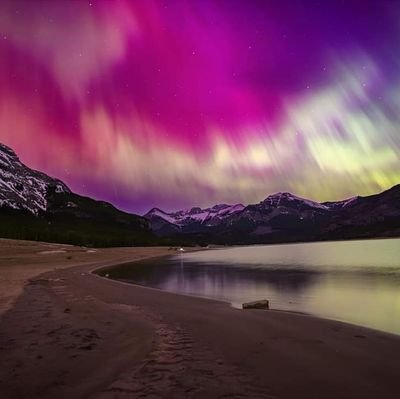 _She_Speaks__'s profile picture. 