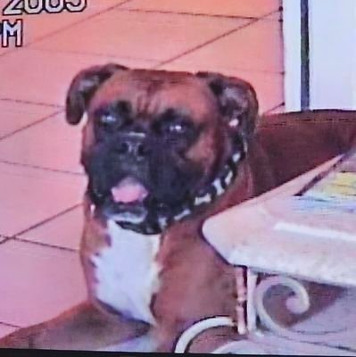 SerRockefeller's profile picture. 