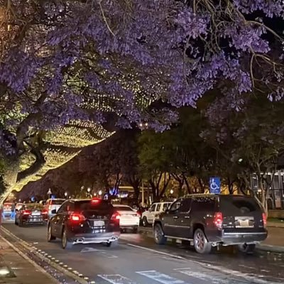 yasamin3030's profile picture. سلمت أمري للذي لا يغفل، ولا ينام، ولا يكسر بخاطري."