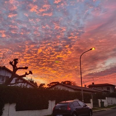 belfati68's profile picture. 