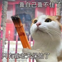 JING REN KOH (@jr_koh98) 's Twitter Profile