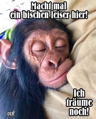 herby6365's profile picture. 