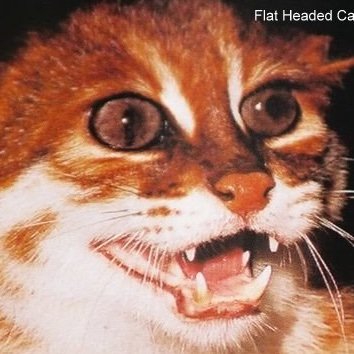 BlimpyBlir76575's profile picture. love my girlfriend lark