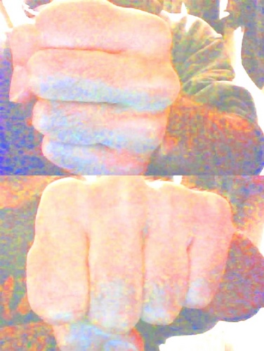 barbielavandaia's profile picture. pressapochista.