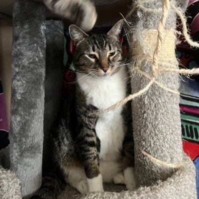 donefor44's profile picture. 