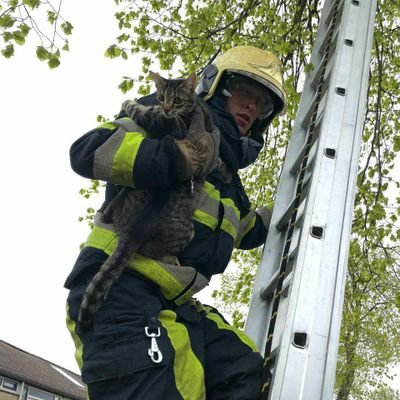 De natuur fotograferende brandweerman●24/7 hulpverlener👨🚒🚒●hobby-mollenvanger●sporten 🏃♂️🚴♂️🛴●Alles op persoonlijke titel