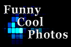Funny Cool Photos, Funny Photos, Cool Photos, Weird Photos. Funny images and cool funny pictures for free. Nice Funny Pictures Collection.
