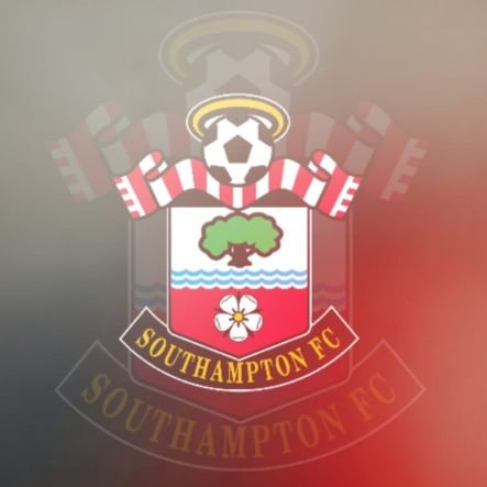 Perfil dedicado ao gigantesco do sul Southampton FC, viúvos do Ward-Prowse