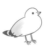 Avatar of まるよのかもめ