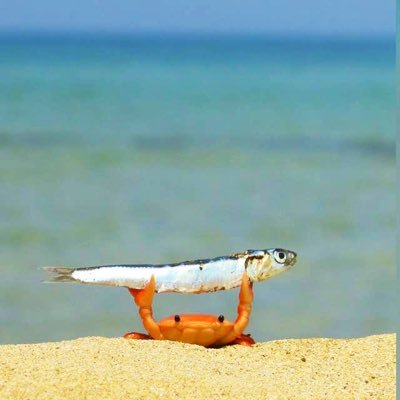 nigelruwona_'s profile picture. Biochemist 👨🏾‍🔬| Runner @onanaturaloils_