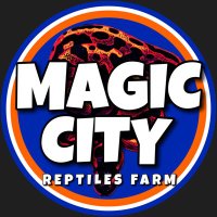 magic city reptiles farm (@magiccity_rep) 's Twitter Profile