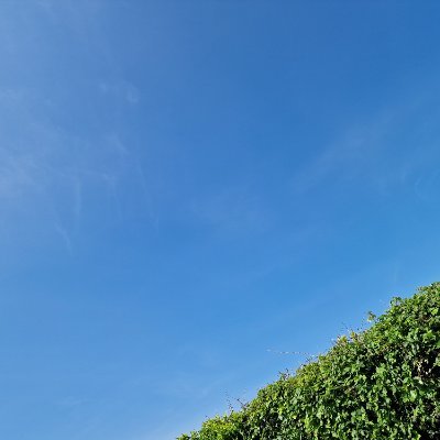 SadieandFranks's profile picture. 