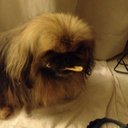 Allen PECK - @lenzrayz - Twitter