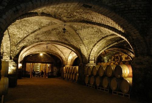 Programas y actividades en viñas de Chile. Tours and travel programs in wineyards of Chile.