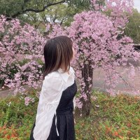 谷のばら (@taninobara) Twitter profile photo
