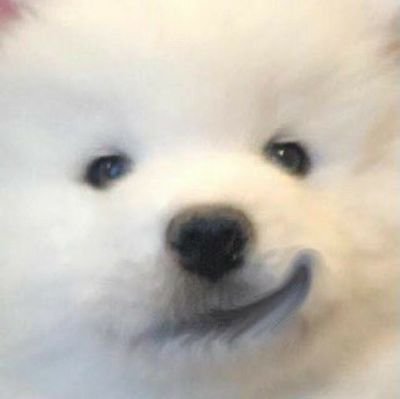 secrxtluv's profile picture. คณะที่ใช่ มหาลัยที่ชอบ โปรดรับรักหนูหน่อยค่ะ🙏🏻😭🙏🏻 #dek69 ขอมีที่เรียน 🩷🩷🩷