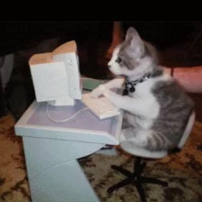 Rithu722's profile picture. Free Speech🎤 ;     Stand against misogyny 👩‍🔧👊