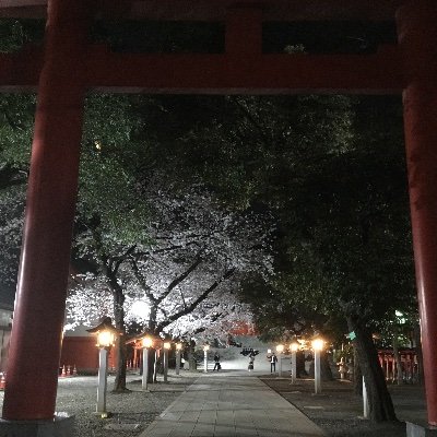 夜とシーシャと酒
時事ネタと格闘技