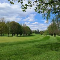 dartfordgolfcomps (@dgcgolfcomps) 's Twitter Profile