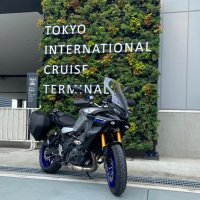 かわうそ🦦元青いXSRの人 (@stormiq13xsr900) Twitter profile photo