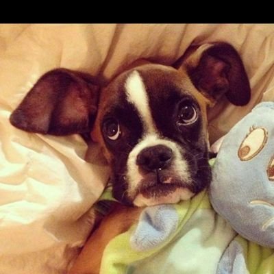 marodriguezcado's profile picture. Hasta nuevo aviso estaré en modo ahorro, es decir: casi apagado.