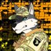 SGT_WOLF (@pupSGT_WOLF) Twitter profile photo
