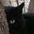 bqkyso's profile image