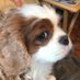 WendyD&BertierememberingFreddyHarveyCharlie🌈 (@wendybertiere2) Twitter profile photo WendyD&BertierememberingFreddyHarveyCharlie🌈 (@wendybertiere2) Twitter profile photo