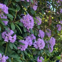 Sultan (@sultan463595) Twitter profile photo