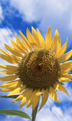 mamamanami821's profile picture. 