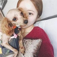 きょうこ (@kyouko534331) 's Twitter Profile