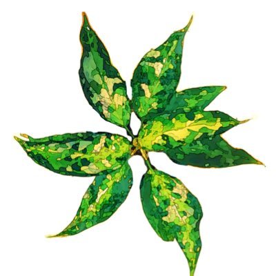 humidity80_100's profile picture. 自宅森林化計画実行中。植物はアグラオネマ、ホマロメナ中心、魚はアピストを育ててます。