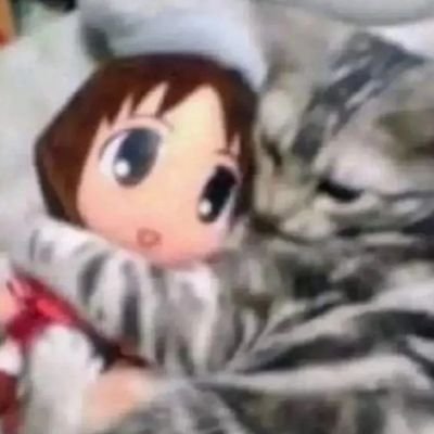 bestitalianwife's profile picture. ─=≡Σʕっ•ᴥ•ʔっ  wahoo!