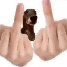 igormarcqk's profile picture. i'm a gleek