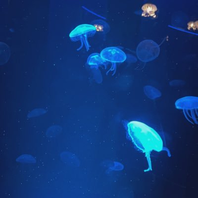 もちさんさんのプロフィール画像