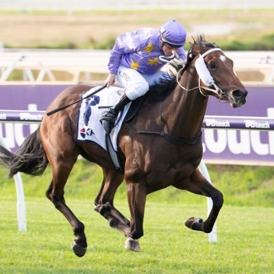 GaryHowarth64's profile picture. Devout Hong Kong and Perth Racing Fan  Try hard marathon swimmer