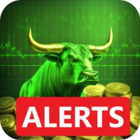 Realtime Stock Screener: Check Alerts!(@RealtimeScreen) 's Twitter Profile Photo