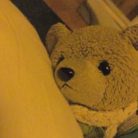 ぬいむ (@nuimu_) 's Twitter Profile
