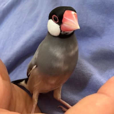 TTotteli0122's profile picture. 【家族や自分を大切に】