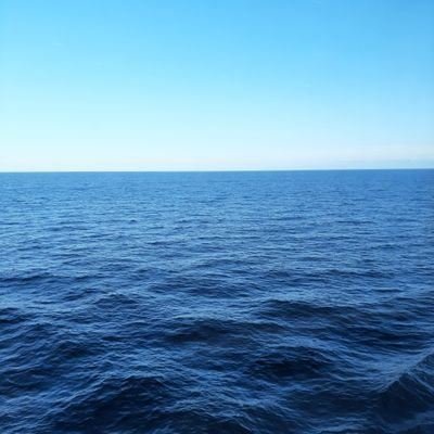 thekoala3432's profile picture. `just being me