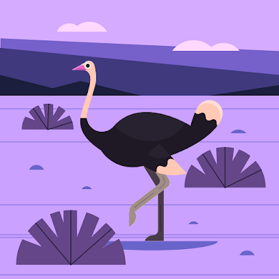 shahadutsh1590's profile picture. 