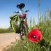 Slow_Cyclist (@slow_cyclist) Twitter profile photo