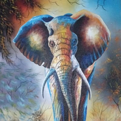 KwendoSamora's profile picture. Never ever give up