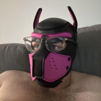 Pup Radar (@switchypup20) 's Twitter Profile